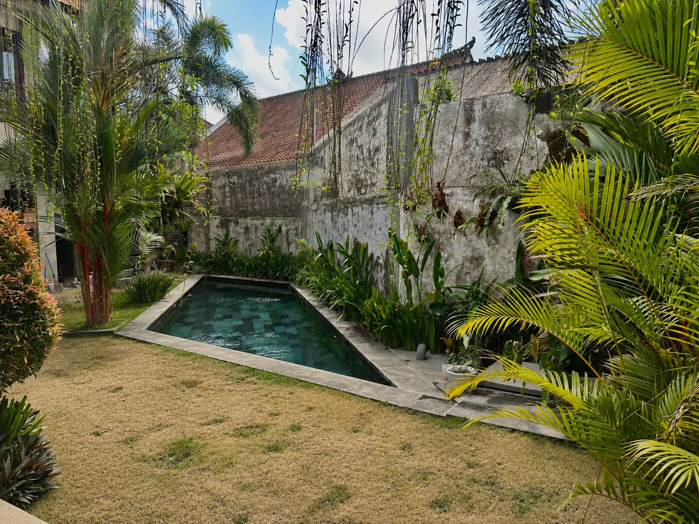 Pool und Garten vor der Neugestaltung mit kahler Betonwand